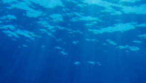 Submersible Pressure Transducers, Submersible Pressure Transmitters with High Accuracy